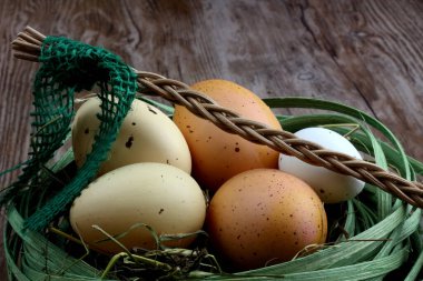 Easter fresh eggs in green basket - nest with traditional czech whip on woooden desk / background