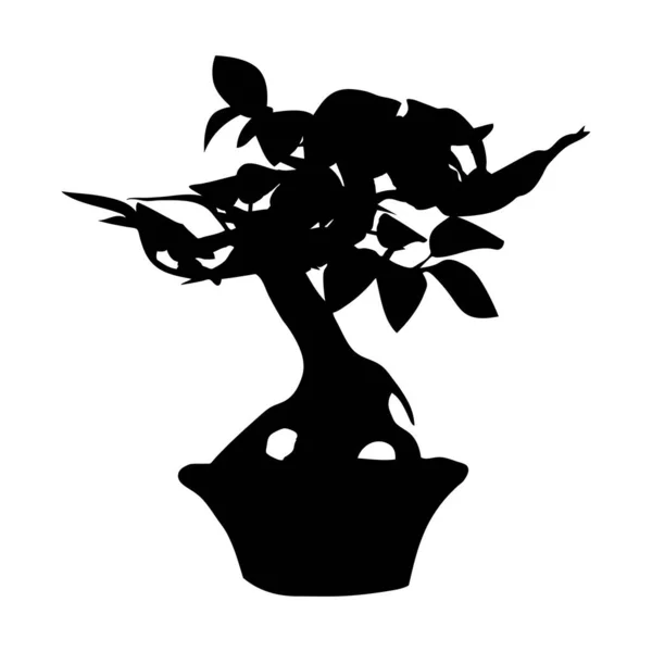 Albero Bonsai Vaso Fiori Silhouette Nera — Vettoriale Stock
