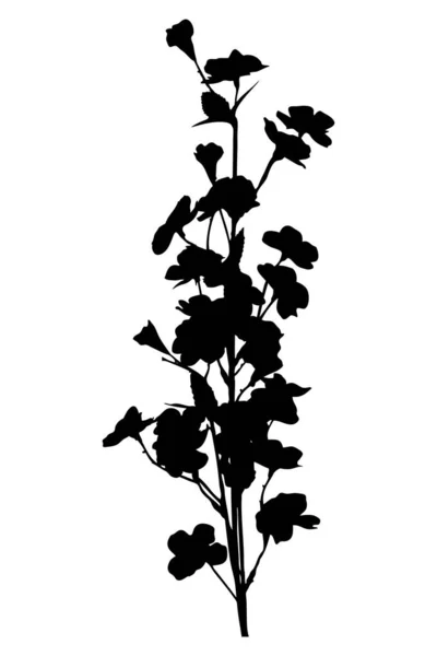 叶和花 黑色轮廓 独立于白色背景 — 图库矢量图片