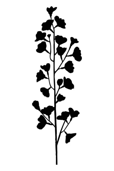 Branche Cerisier Silhouette Noire — Image vectorielle