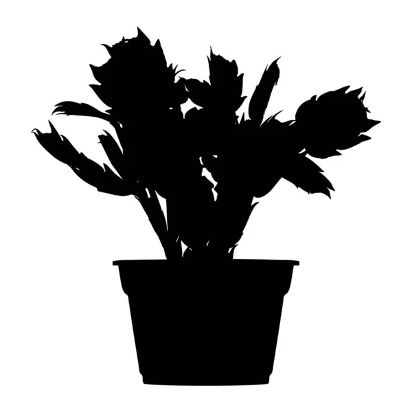 植木鉢のサボテン 黒のシルエット — ストックベクタ