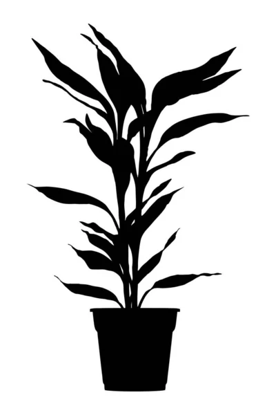 パーム 植木鉢のユッカ Dreacana植物 黒のシルエット — ストックベクタ