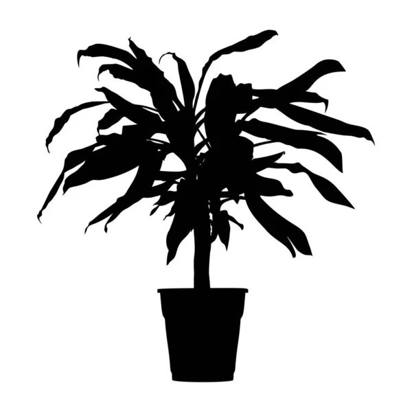 梦想棕榈 花盆中的番茄酱黑色轮廓 — 图库矢量图片