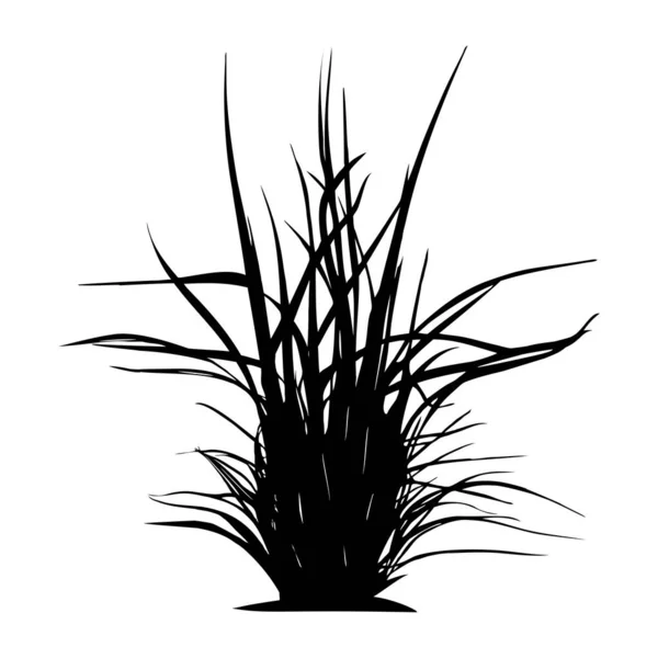 Reed Erba Silhouette Nera Isolato — Vettoriale Stock