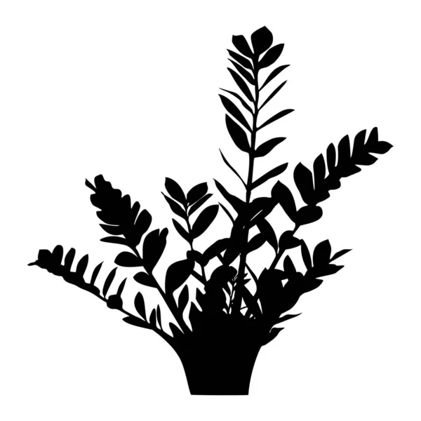 Zamioculcas Pianta Appartamento Silhouette Nera — Vettoriale Stock