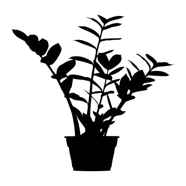 ザミアンカシスの花のポット ハウスプラント 黒のシルエット — ストックベクタ