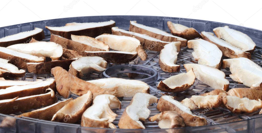 Drying sliced shiitake mushrooms in a dryer
