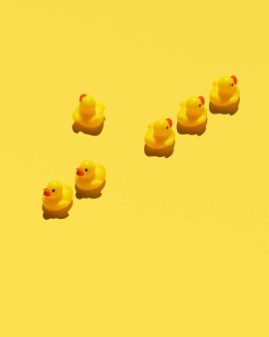 Sarı lastik ördek kendi yolunda gitmeye karar