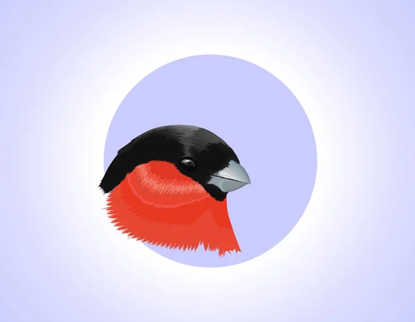 Bullfinch forår, grafisk design – Stock-vektor