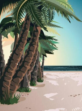 Beach Ocean Resort, yaz 