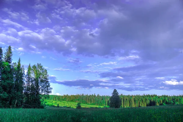 Yaz manzara, huş ağacı çayır, gökyüzü