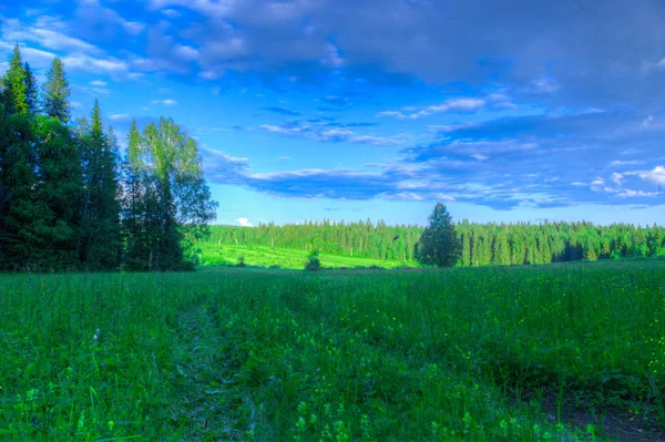 Сезон Літня лісова дорога хмари небо панорама неба — стокове фото