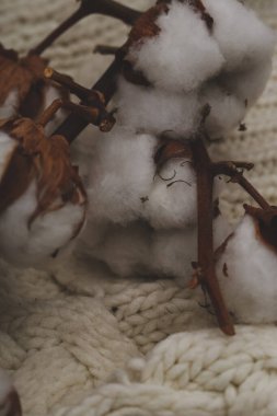 Kazağın üzerindeki pamuk çiçeği.