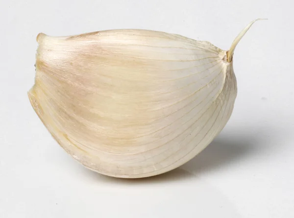 白色背景的大蒜 — 图库照片