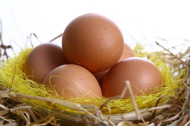 Paskalya yumurtaları yakın plan dekorasyonu