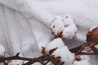 Beyaz havluda pamuk çiçeği