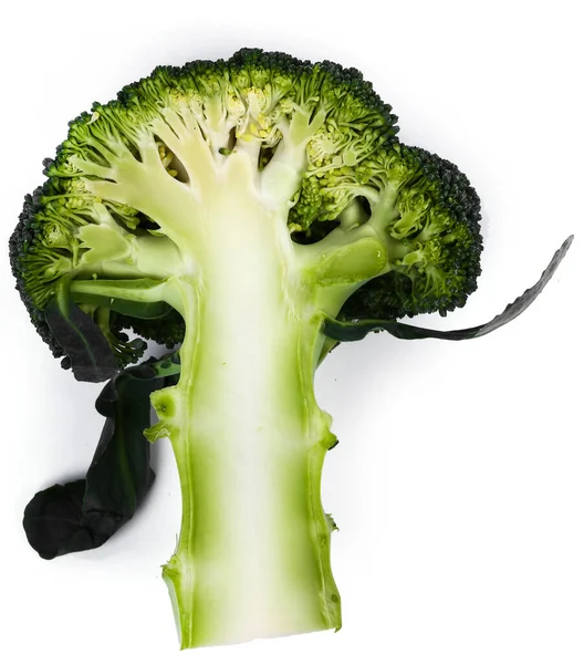 Delicious Broccoli White Background — Stock Photo, Image