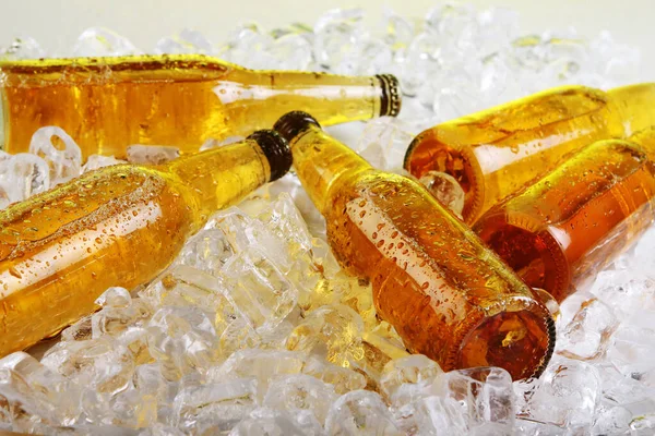 Bottles of beer lying in the ice. Close view.