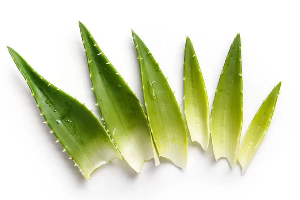 Medicina Aloevera Sfondo Bianco — Foto Stock