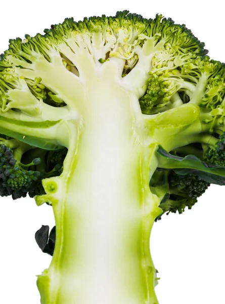 Heerlijke Broccoli Een Witte Achtergrond — Stockfoto