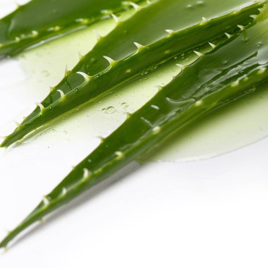 İlaçlar. Aloevera beyaz arka planda