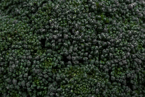 Comida Close Brócolis Gostoso Jardim — Fotografia de Stock