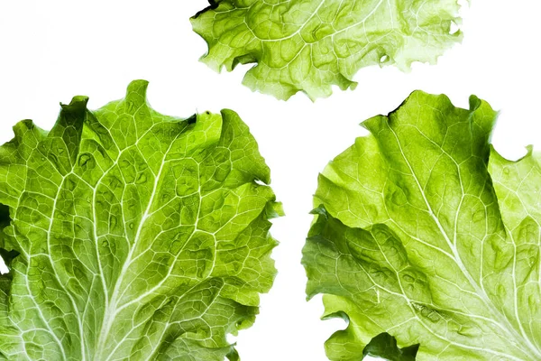 Delicious Salad White Background — Stock Photo, Image