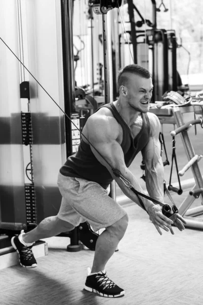 Fitness Musculación Hombre Poderoso Durante Entrenamiento —  Fotos de Stock