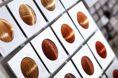 Saçlar. Renkli saç tonu seçenekleri