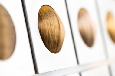 Saçlar. Renkli saç tonu seçenekleri