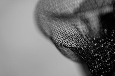 Kristal değerli taşlı soyut ağ sanatı. Su koyu renk arka plan sıçraması yapar.