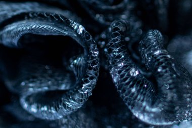 Kristal değerli taş içeren soyut ağ sanatı. Su damlaları makro arka plan sıçramasını kapatır.