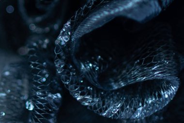 Kristal değerli taş içeren soyut ağ sanatı su damlaları arka planda çarpıtma yapar