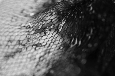 Kristal değerli taşlı soyut ağ sanatı. Su siyah ve anakaradan su sıçrıyor.