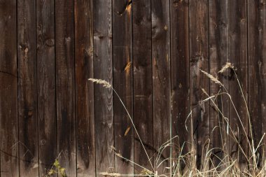 Kırsal bir ülkede eski ahşap panellerden yapılmış arka plan sıçraması ve eski kuru otlar.