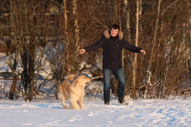Genç bir adam onun köpek golden retriever eğitim.