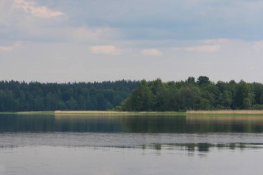 Güzel manzara. Gölde bir gün. Orman.