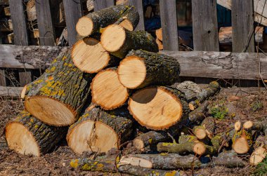 Ağaç gövdeleri ve ağaç kabukları. Büyük bir odun yığını. Ormanların yok edilmesi, ormanların temizlenmesi, arka bahçeler ve ormanlar.. 