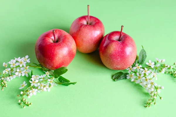 red apples and white cherry blossoms on a green background. Central symmetrical composition. New crop harvest concept.