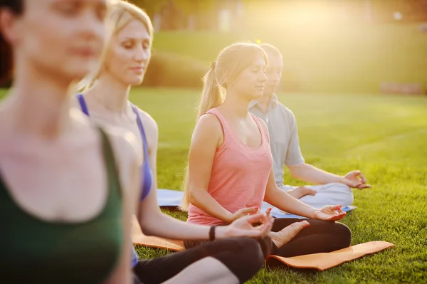 yoga group on the background of green grass