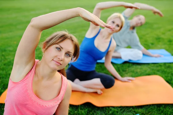 Yoga asanas group performs on the grass