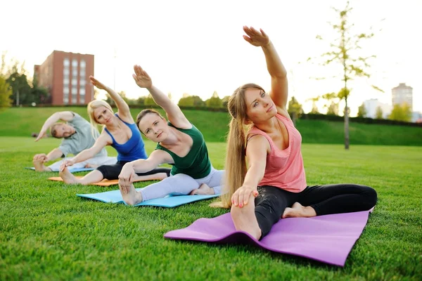 Yoga-Gruppe vor dem Hintergrund grünen Grases — Stockfoto