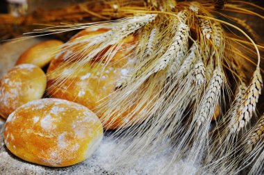 Pastane ehlileştirmek üzerinde