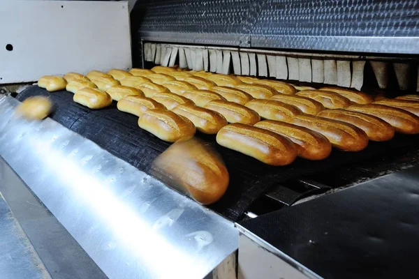 Свіжий хліб щойно запечений у пекарні — стокове фото
