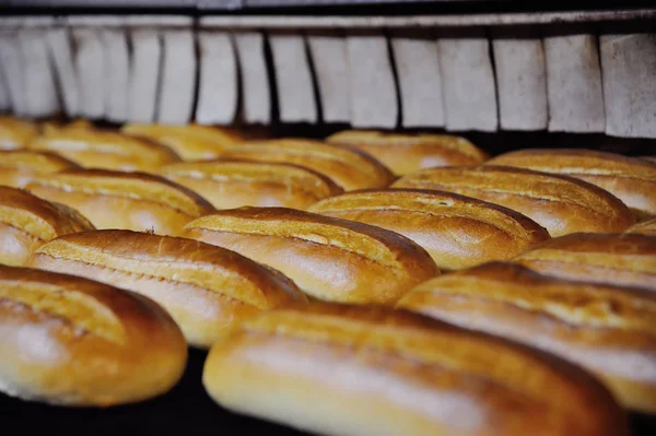 Хліби з печі в пекарні — стокове фото