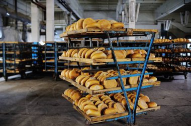 Bir raf bir fırın içinde taze ekmek