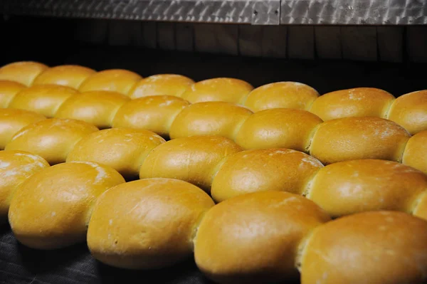 Friss kenyeret a sütőből — Stock Fotó