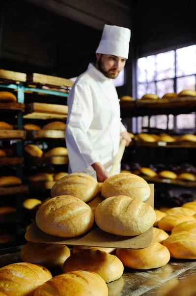 Пекар витягує з печі свіжий хліб — стокове фото