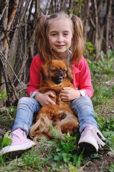 Menina com um pekinese sentado na grama — Fotografia de Stock