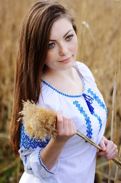 Slavic girl in Ukrainian shirt holding ears of corn — Stock Photo, Image